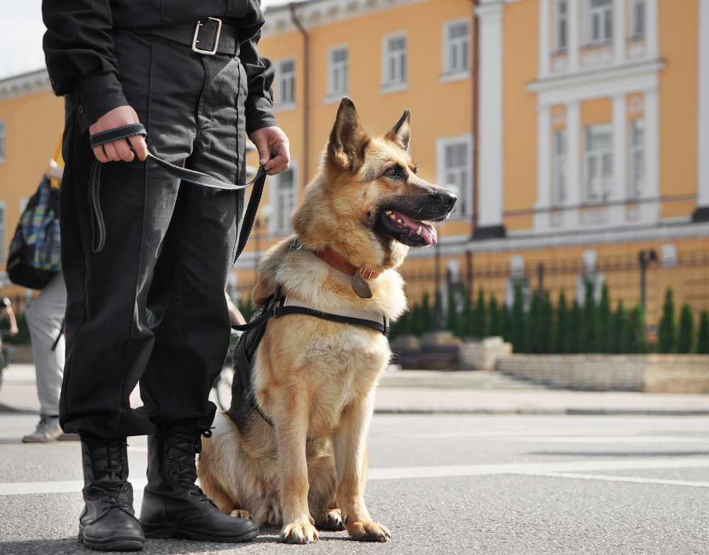 24-7 Sicherheit Bielefeld - Standwache